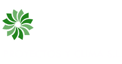 |CENTRO DE 